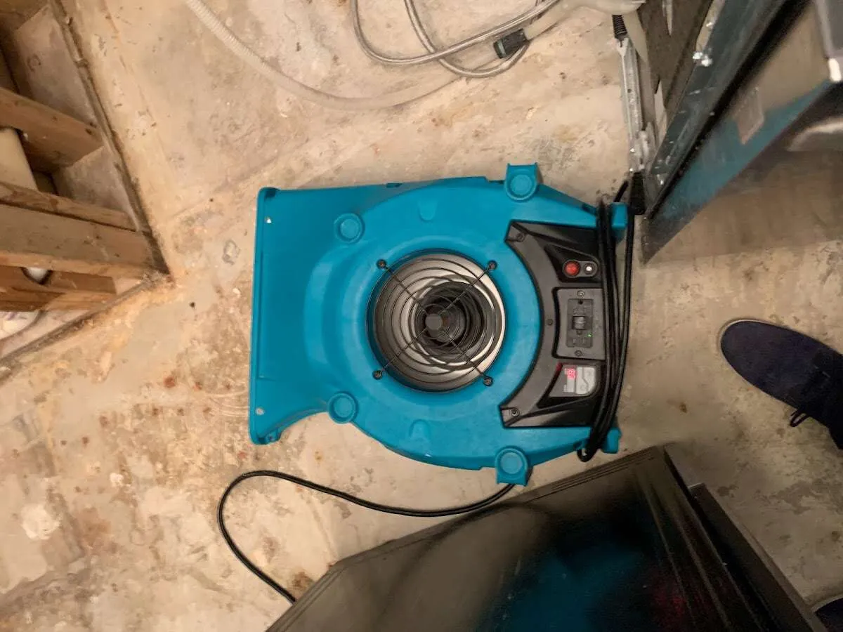 Air mover drying equipment for Mold Remediation & Removal in Chestnuthill