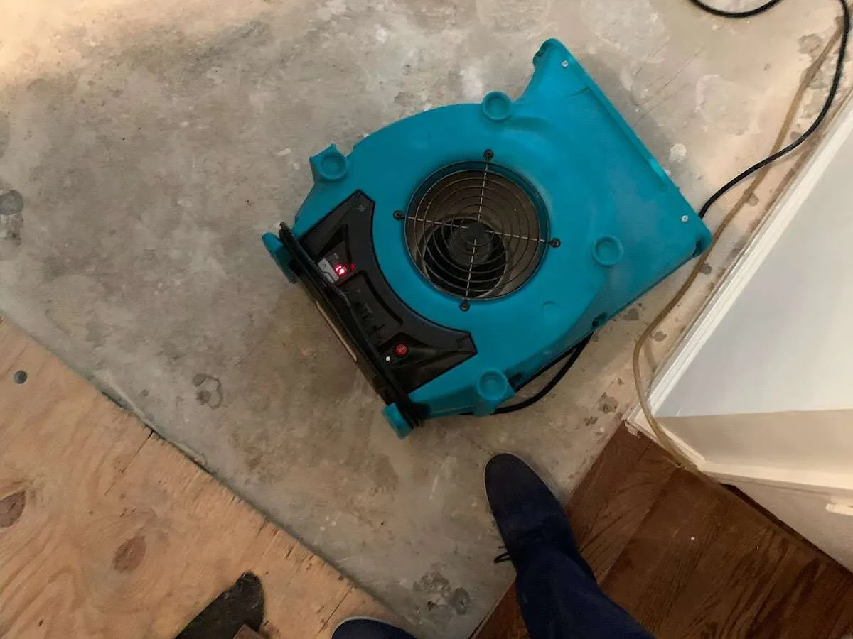 Air mover drying subfloor during Leak Detection & Repair in Chestnuthill